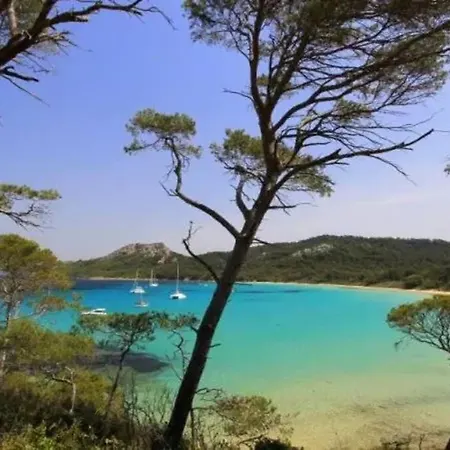 Superbe Logement Avec Jardin Privatif * Hyères